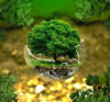 Protection de l’environnement